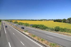 Sonnenblumenfeld neben der Autobahn in Arles, Südfrankreich foto