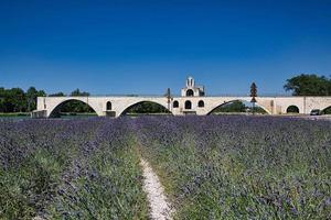 sur le pont d'avignon, südfrankreich foto