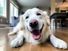 Inhalt Hund genießen im das Leben Zimmer Fußboden ai generativ foto