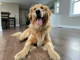 Inhalt Hund genießen im das Leben Zimmer Fußboden ai generativ foto