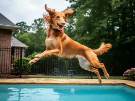 nass und froh Hund springen in ein Schwimmbad auf ein heiß Sommer- Tag ai generativ foto