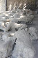 Gipsabgüsse in der antiken Stadt Pompeji foto