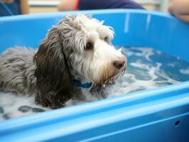 heiter Hund genießen ein Massage beim ein Haustier Spa ai generativ foto