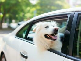 glücklich Hund Reiten im ein Auto mit es ist Kopf aus das Fenster ai generativ foto