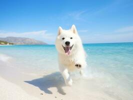 glücklich Hund spielen auf das Strand ai generativ foto