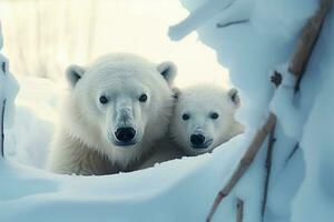 Polar- Bär Mutter und Jungtier Teilen ein herzerwärmend Moment im ein schneebedeckt den ai generiert foto