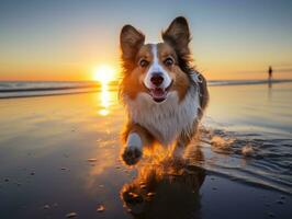 glücklich Hund spielen auf das Strand ai generativ foto