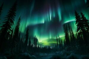 grün Aurora Borealis Gnaden das Nord Licht Wald und Himmel ai generiert foto