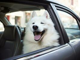 glücklich Hund Reiten im ein Auto mit es ist Kopf aus das Fenster ai generativ foto