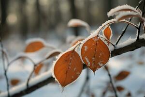 Frost geküsst Geäst Don Herbst beschwingt Farben im ein schneebedeckt Wald ai generiert foto