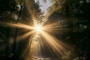 zauberhaft Wald Szene gebadet im das warm Umarmung von Sonne Strahlen ai generiert foto