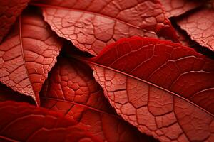 ein beschwingt Blatt schließen oben Kanäle das Lebhaftigkeit von Bühne Kulissen ai generiert foto