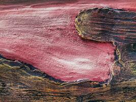 Nahansicht von Baum Stamm. Beton Holz Textur. Baum Rinde Textur von das Zement Linderung Gips Mauer mit natürlich Farbe malen. foto