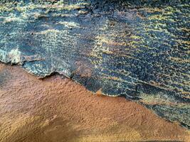Nahansicht von Baum Stamm. Beton Holz Textur. Baum Rinde Textur von das Zement Linderung Gips Mauer mit natürlich Farbe malen. foto