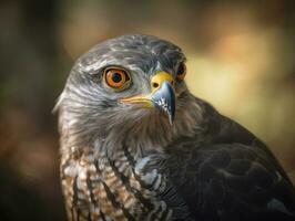 Hühnerhabicht Vogel Porträt ai generiert foto