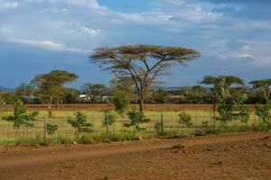 typisch afrikanisch Straße im ein Kenia Dorf mit bunt traditionell Gebäude. foto