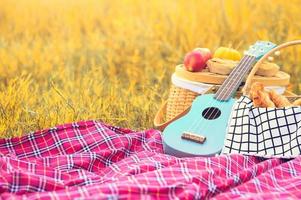 Picknick-Requisiten im Herbstwiesenfeld. Ukulele-Gitarre foto