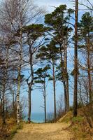 Baltikum Meer Landschaft foto