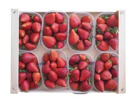 Erdbeeren in Kisten isoliert auf weißem Hintergrund