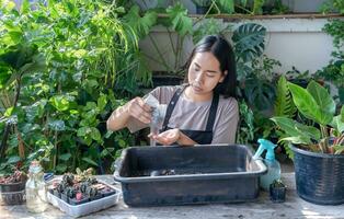 süß asiatisch Frau Gärtner ist vorbereiten Boden zum Umpflanzen Pflanze in ein Neu Topf im Innen- beim Zuhause während Hobby Aktivität, Konzept von Zuhause Garten foto