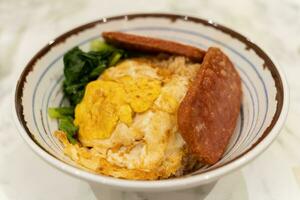 Nahansicht Aussicht von Reis mit Mittagessen Fleisch ,Ei und Gemüse. foto