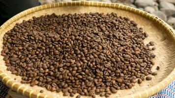 Kaffee Bohnen traditionell Braten Verfahren. sortiert und dunkel geröstet Kaffee Bohnen Verbreitung auf ein Bambus Sieb. das Textur von ein Klumpen von Kaffee Sein getrocknet im das Sonne foto