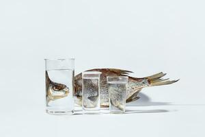 getrocknet Fisch verzerrt reflektieren im Brille mit transparent Flüssigkeit auf Weiß Hintergrund foto