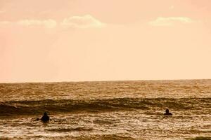 im Meer schwimmen foto