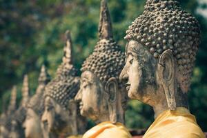 Buddha Statuen Ayutthaya Thailand foto