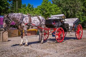 typisch von Pferden gezogen Wagen im gegeben Spaniens Quadrat, gelegen im das Parque Maria Luisa, Sevilla, Andalusien, Spanien foto