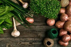 roh Kartoffeln im ein Leinen- Tasche, Grün Zwiebel, Grüns und Knoblauch, Essen Hintergrund, oben Aussicht foto
