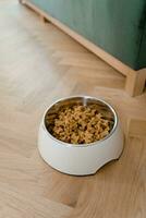 Hund Essen im ein Schüssel auf ein hölzern Fußboden im das Leben Zimmer foto