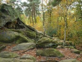 das teutoburg Wald im Deutschland foto