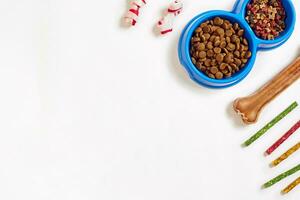 trocken Haustier Essen im Schüssel und Knochen auf Weiß Hintergrund oben Aussicht foto