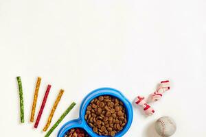 trocken Haustier Essen im Schüssel und Spielzeuge zum Hunde auf Weiß Hintergrund oben Aussicht foto