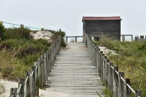 ein hölzern Gehweg führt zu ein Strand Hütte foto