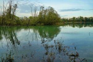 ein See mit Bäume und Gras im das Hintergrund foto