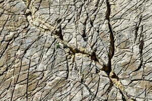 ein schließen oben von ein Felsen Mauer mit Risse foto