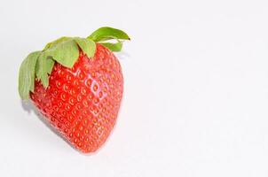 ein Single Erdbeere auf ein Weiß Hintergrund foto
