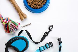 Kragen, Blau Schüssel mit füttern, Leine und Delikatesse zum Hunde. isoliert auf Weiß Hintergrund foto