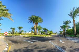 das Aussicht zu Straße und Palme Bäume in der Nähe von das Hotels foto