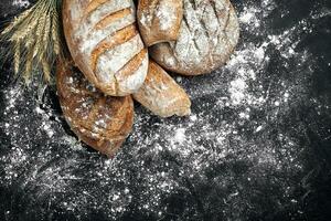 hausgemacht Roggen Brot bestreut mit Mehl und verschiedene Körner und Saat auf ein schwarz Hintergrund mit Ährchen von Weizen oder Roggen und Hafer. foto