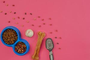 Hund Snacks, Hund kaut, Hund Knochen, Ball Spielzeug zum Hund auf ein Rosa Hintergrund mit Kopieren Raum foto