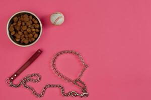 Hund Essen im metallisch Schüssel und Zubehör auf Rosa Hintergrund foto