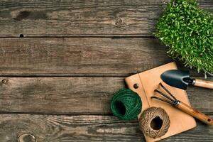 Gartenarbeit Werkzeuge und Grün auf hölzern Tisch. Frühling im das Garten foto