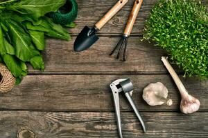 Gartenarbeit Werkzeuge und Grün auf hölzern Tisch. Frühling im das Garten foto