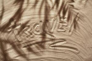 Sommer- Konzept mit ein Schatten von ein tropisch Palme Baum Blätter, Copyspace auf ein Weiß Strand Sand. foto