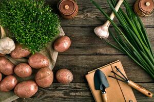Gartenarbeit Werkzeuge und frisch Gemüse Über hölzern Hintergrund foto