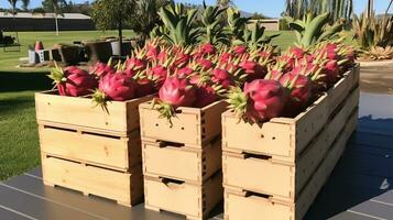 frisch gepflückt Drachen Obst von Garten platziert im das Boxen. generativ ai foto