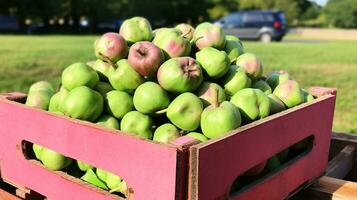 frisch gepflückt Guavenbeere Obst von Garten platziert im das Boxen. generativ ai foto